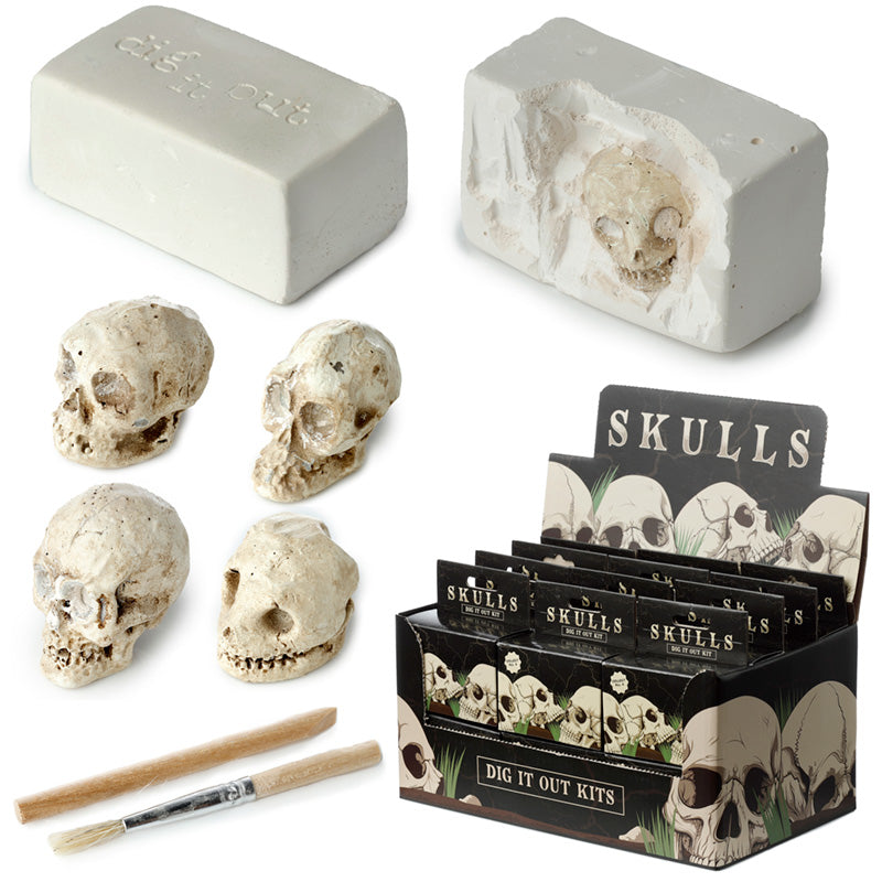 Fun Excavation Dig It Out Kit displayed as home decor