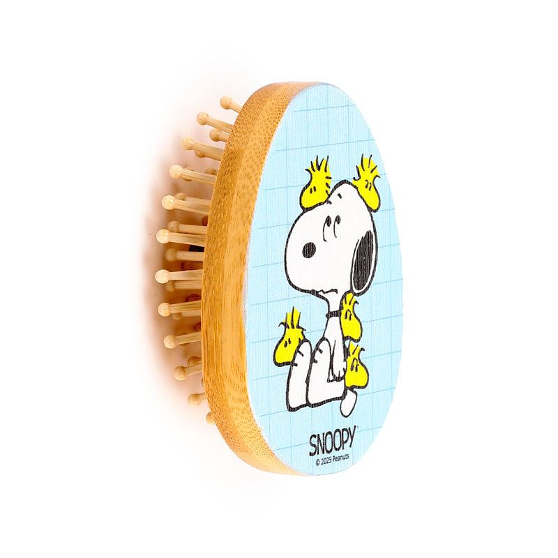 Peanuts Snoopy & Woodstock Bamboo Hair Brush display