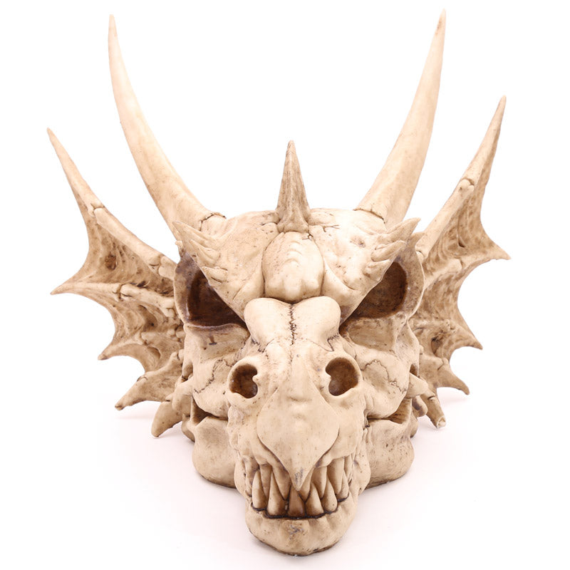 Fantasy Dragon Skull - Home Decor Accent