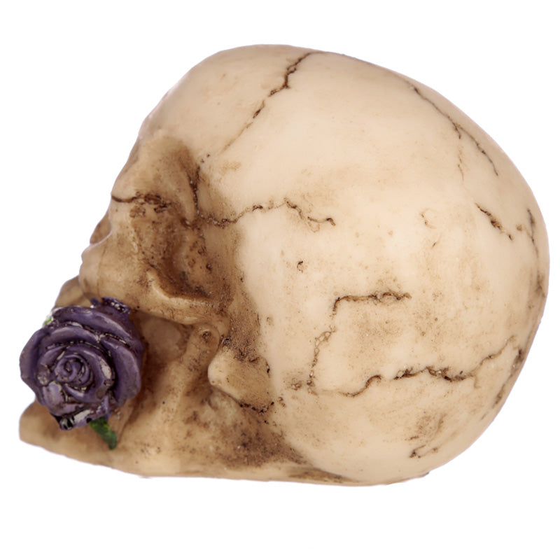 Beautiful Gothic Skulls and Roses ornament for collectors
