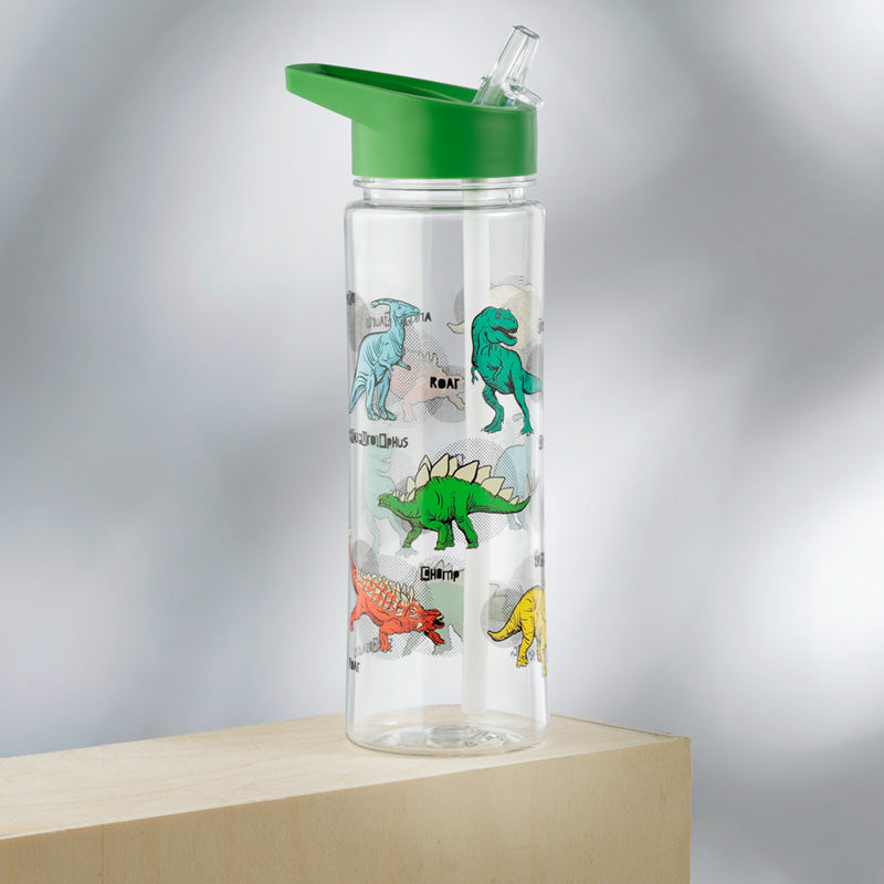 Dinosauria water bottle in home decor setting
