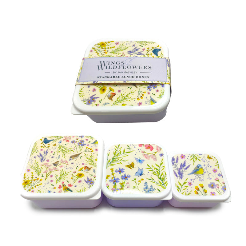 Jan Pashley Wings & Wildflower Lunch Boxes Set of 3