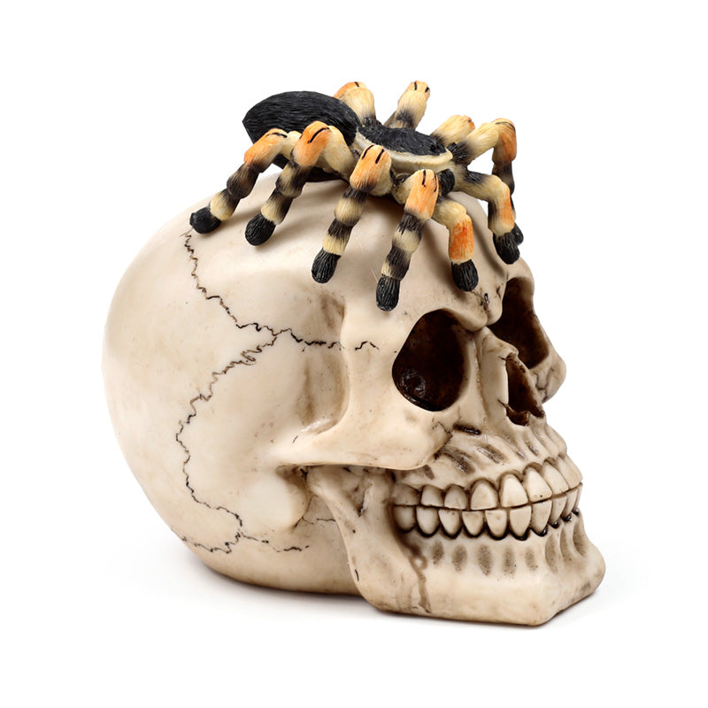 Decorative Skull Ornament with Spider - Lifestyle Setting