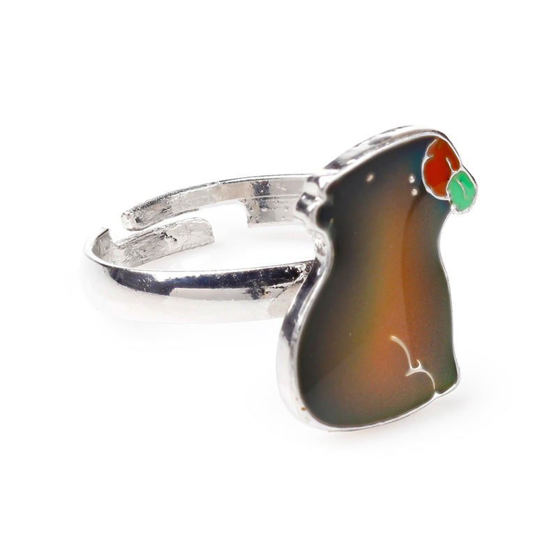 Capybara Mood Ring displayed with other collectible gifts
