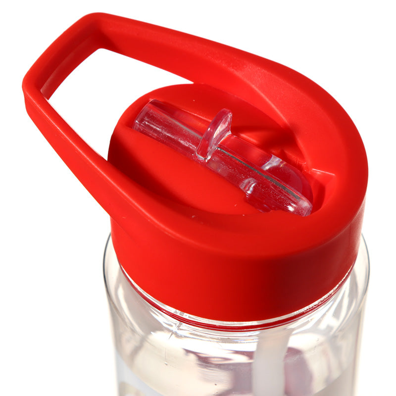 Welsh Dragon Reusable Water Bottle - Giftable Collectible