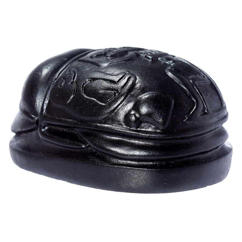 Black Egyptian Scarab Ornament against a decorative background