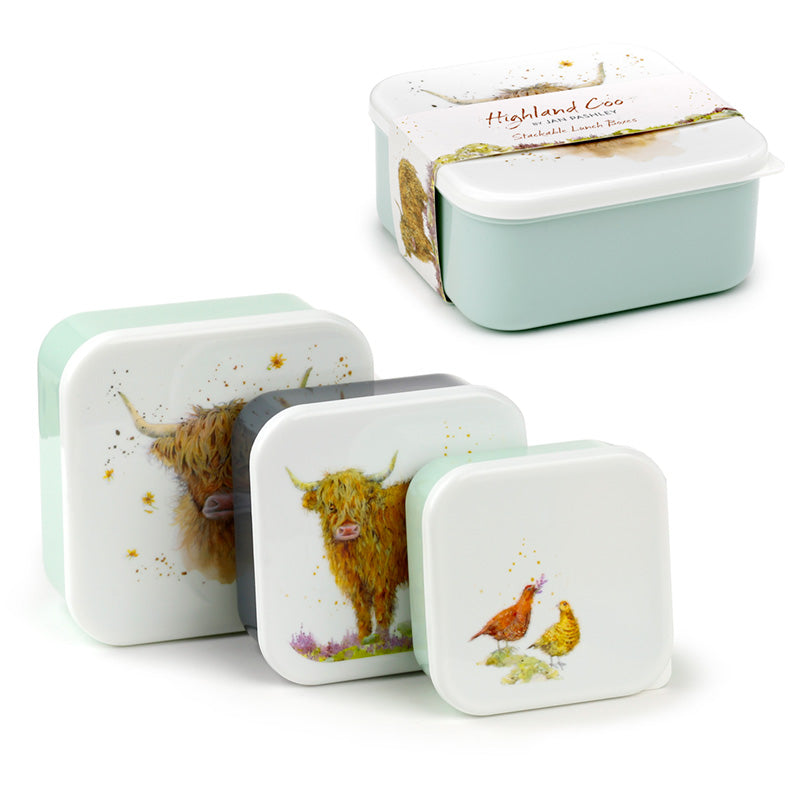 Jan Pashley Highland Coo Cow Lunch Boxes for Home Decor