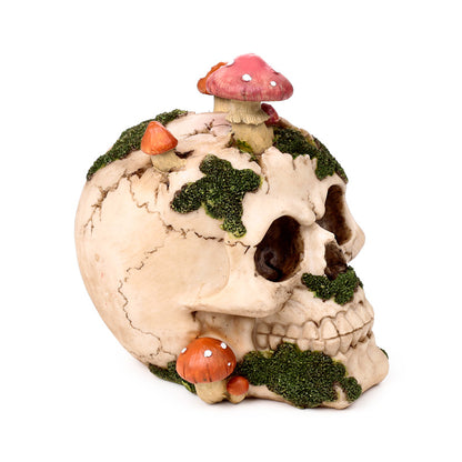 Intricate skull ornament with toadstools for collectors