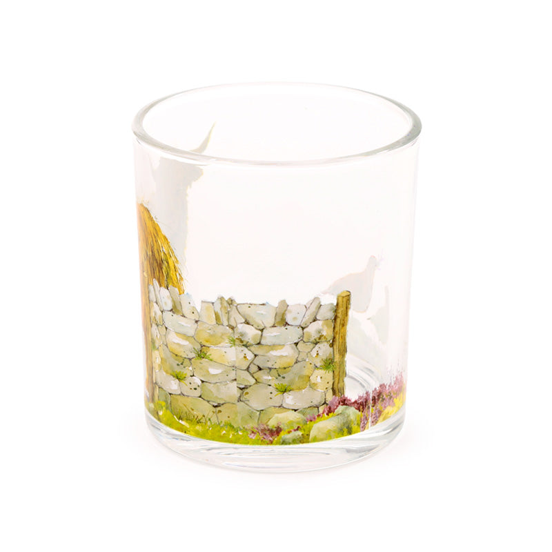 Whimsical Glass Tumblers for Home Decor