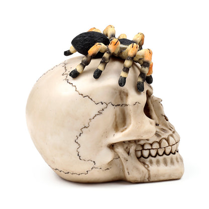 Decorative Skull Ornament with Spider - Back View