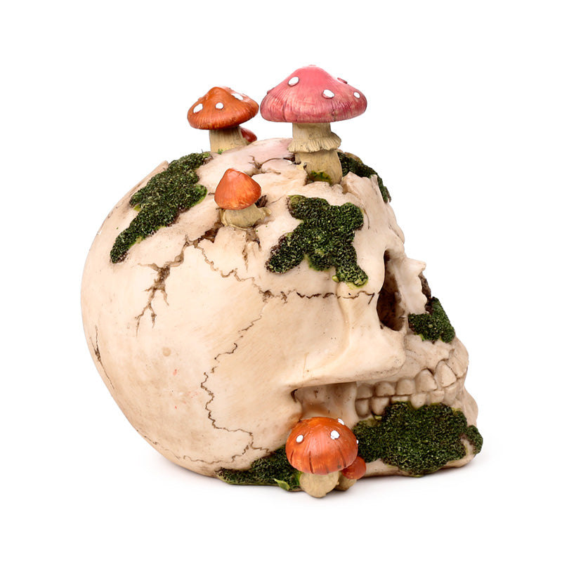 Unique skull ornament ideal for display or gifting