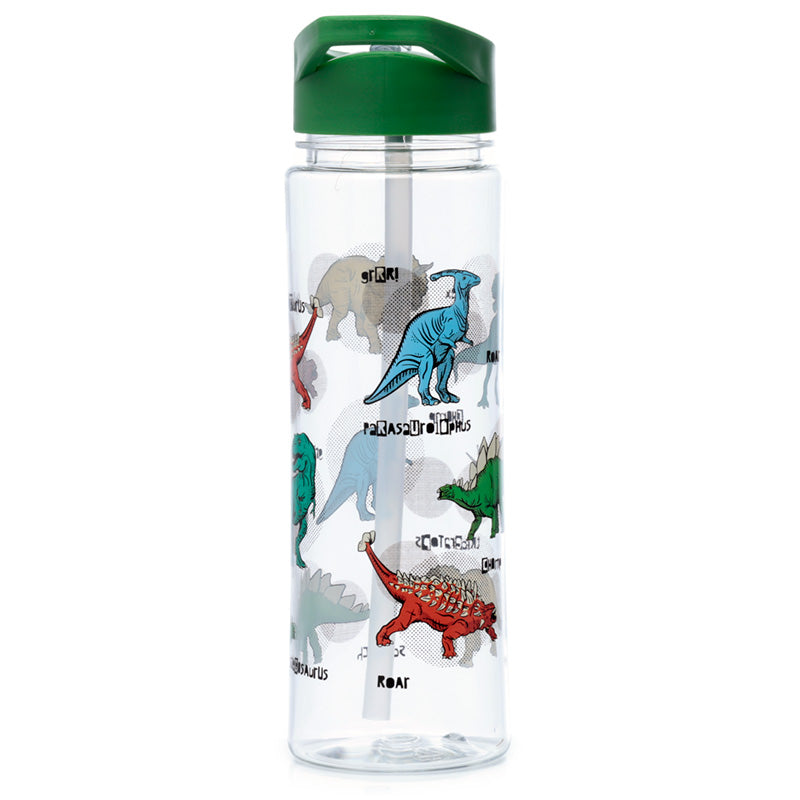 Eco-friendly Dinosauria water bottle