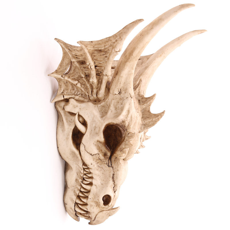 Side View of Decorative Fantasy Dragon Skull
