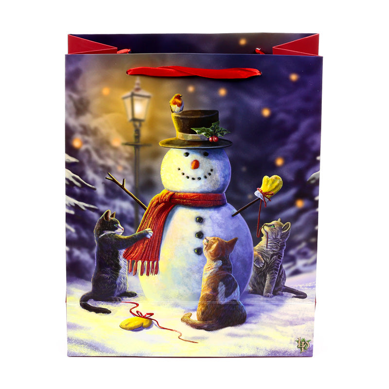 Large Christmas Gift Bag with card gift tag and ribbon