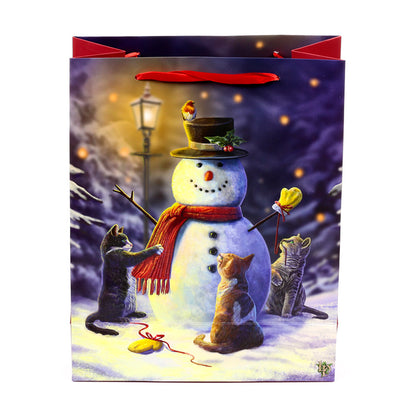 Large Christmas Gift Bag with card gift tag and ribbon