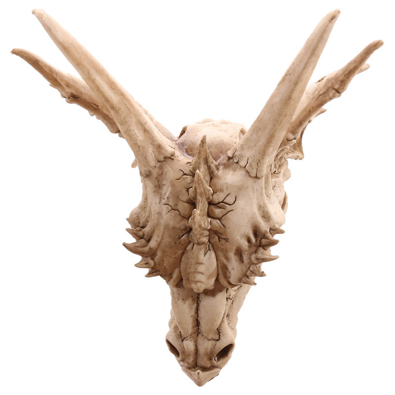 Close-up of Decorative Fantasy Dragon Skull