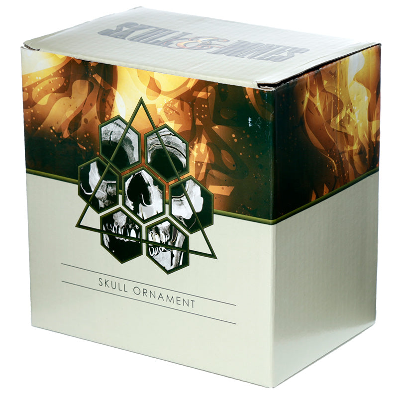 Fantasy Skull Ornament with Black Cat - Home Decor Accent