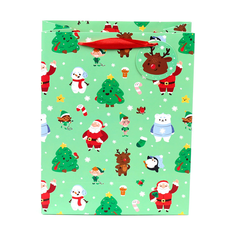 Sturdy card Christmas gift bag with matching tag