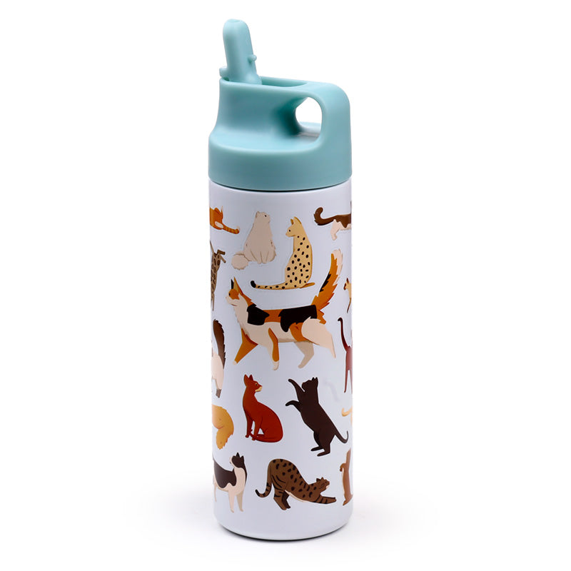 Feline Fine Cats bottle in a stylish setting