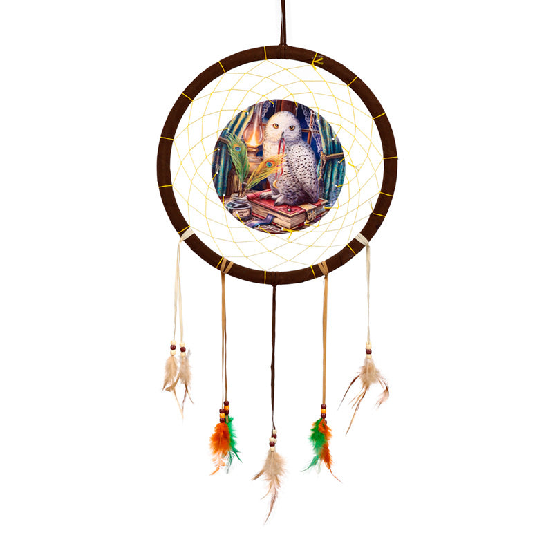 Medium Dreamcatcher - Guardian of Spells Owl by Lisa Parker