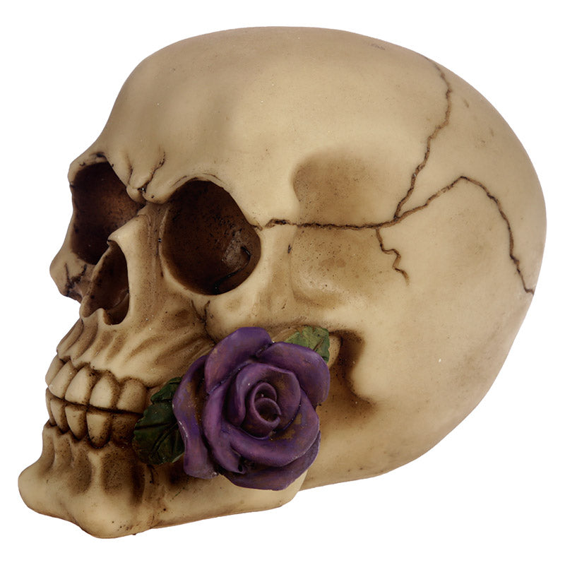 Gothic Skull Decoration for Home Decor