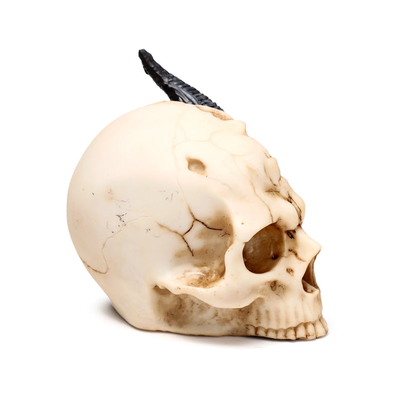 Fantasy collectible - Black Dragon in Skull