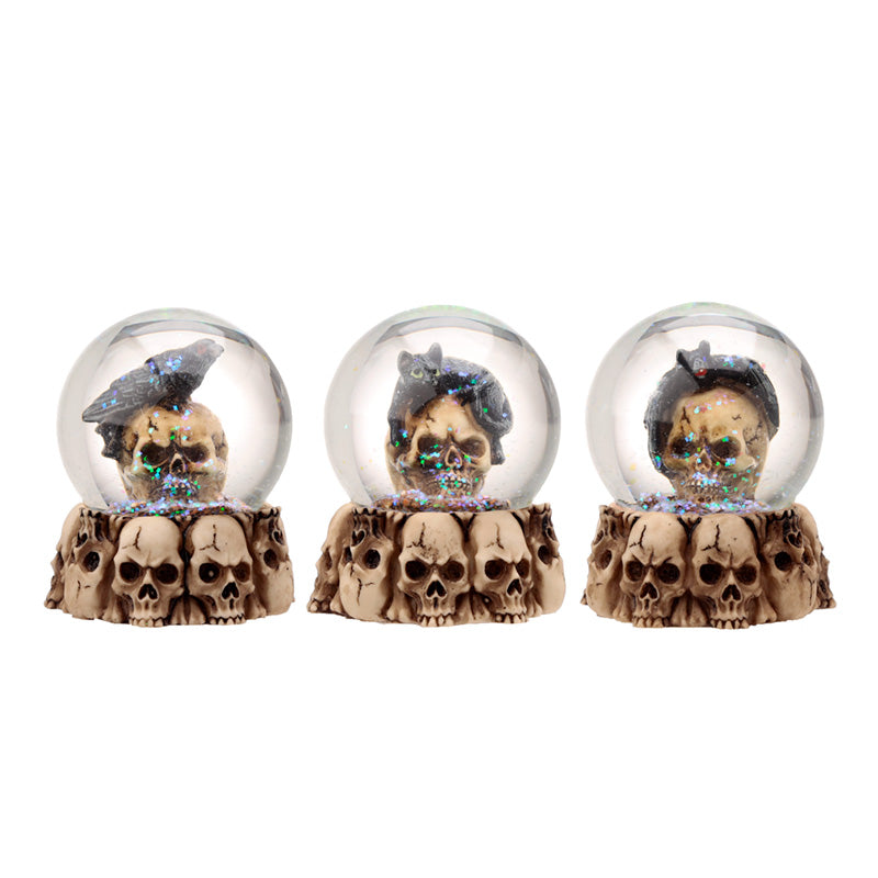Gothic Skull Snow Globe with Black Cat and Crow
