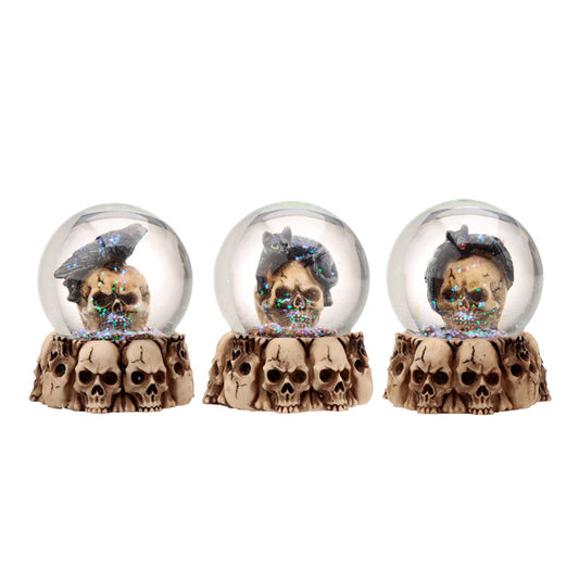 Gothic Skull Snow Globe with Black Cat and Crow
