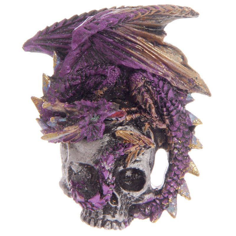 Gothic Dragon Skull Souvenir Magnet - On Fridge