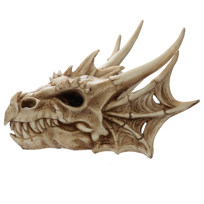 Gothic decor with Collectable Dragon Skull