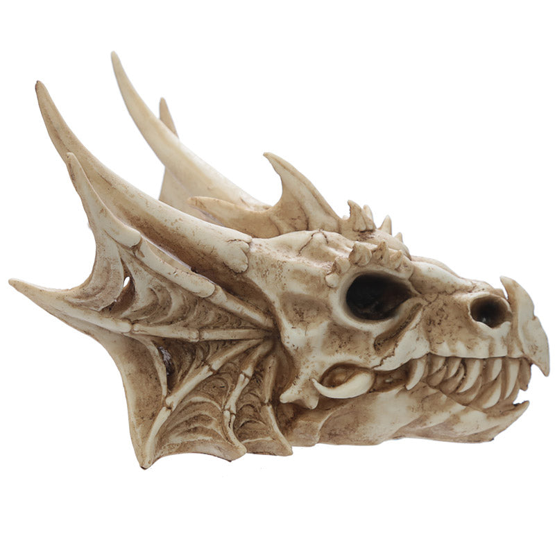 Lifelike features of the Collectable Dragon Skull