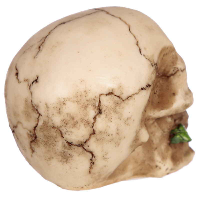 Elegant Gothic Skulls and Roses home decor piece