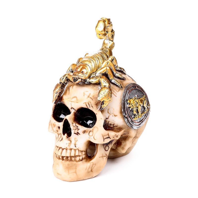 Scorpion Skull Ornament displayed on a shelf
