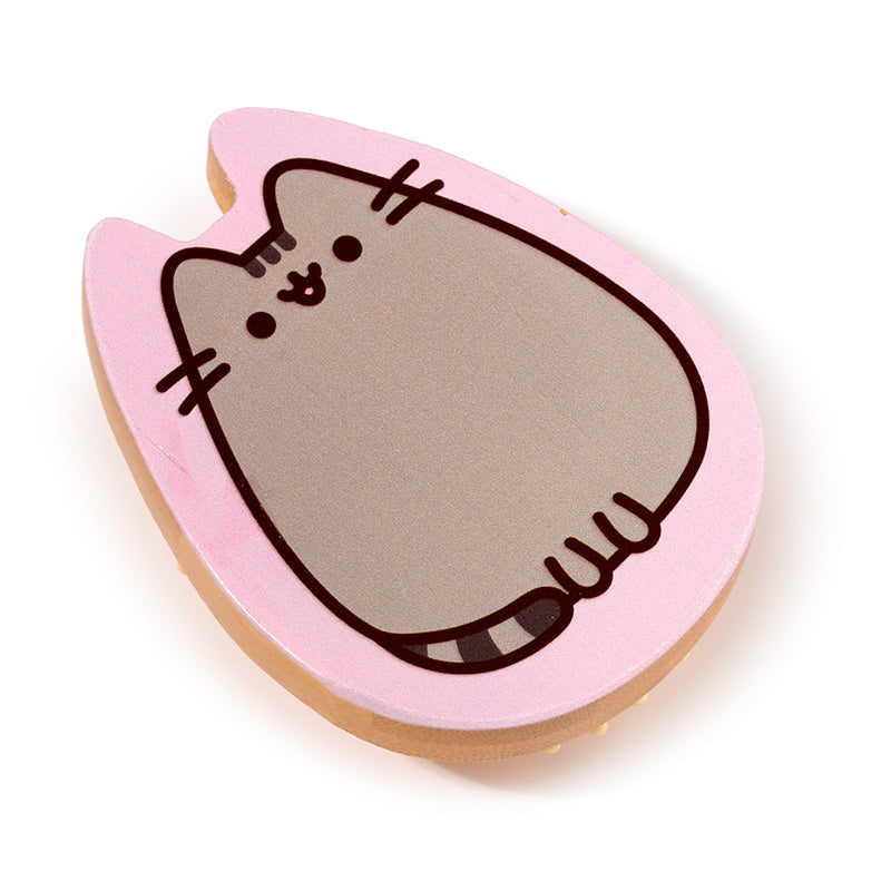 Pusheen the Cat decorative hair brush on vanity