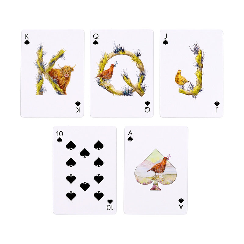 Jan Pashley Highland Coo Playing Cards - Game Setup