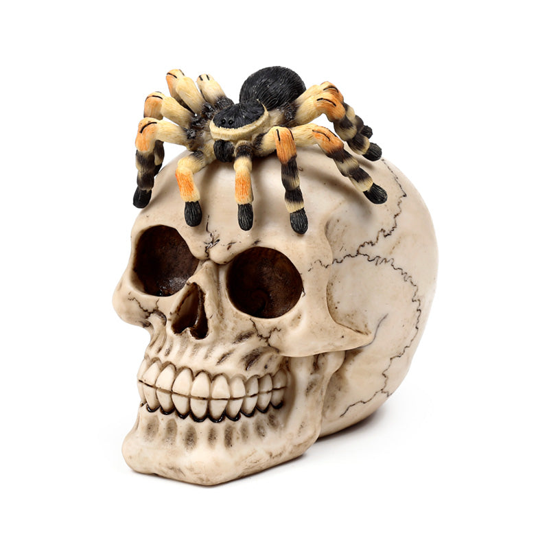 Decorative Skull Ornament with Spider - Close-Up