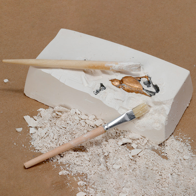 Excavation kit with ancient artefacts