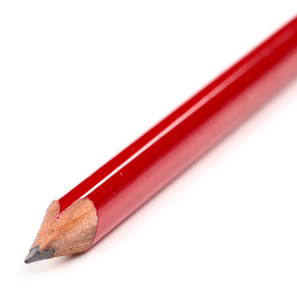 Thoughtful Gift Everlasting Pencil Dog