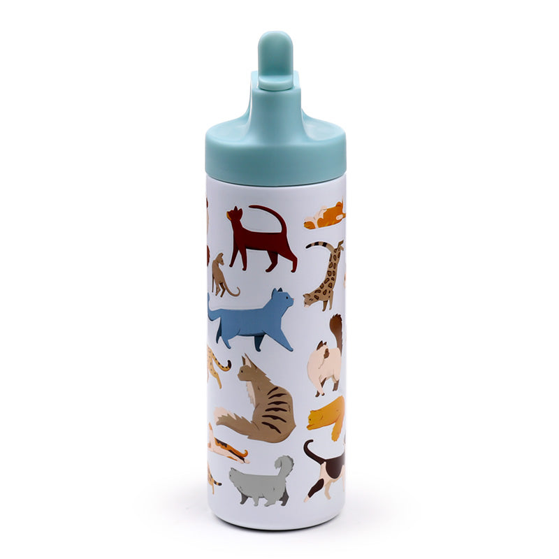 Feline Fine Cats bottle perfect for home or office