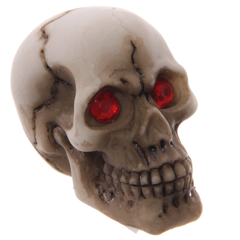 Unique Red Eyed Skull Decoration for Collectors