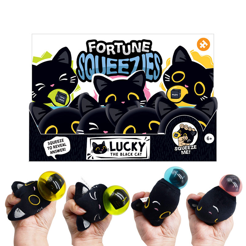 Queasy Squeezies Fidget Toy featuring Lucky the Black Cat
