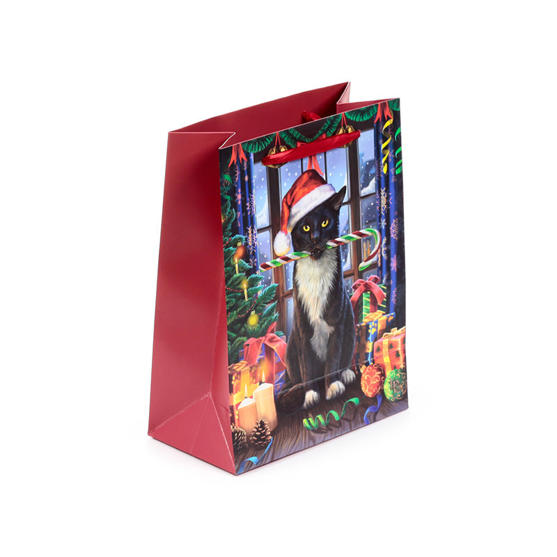 Charming gift tag attached to the Christmas Gift Bag