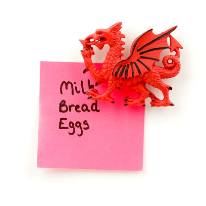 Welsh Dragon Souvenir Magnet in a gift setting