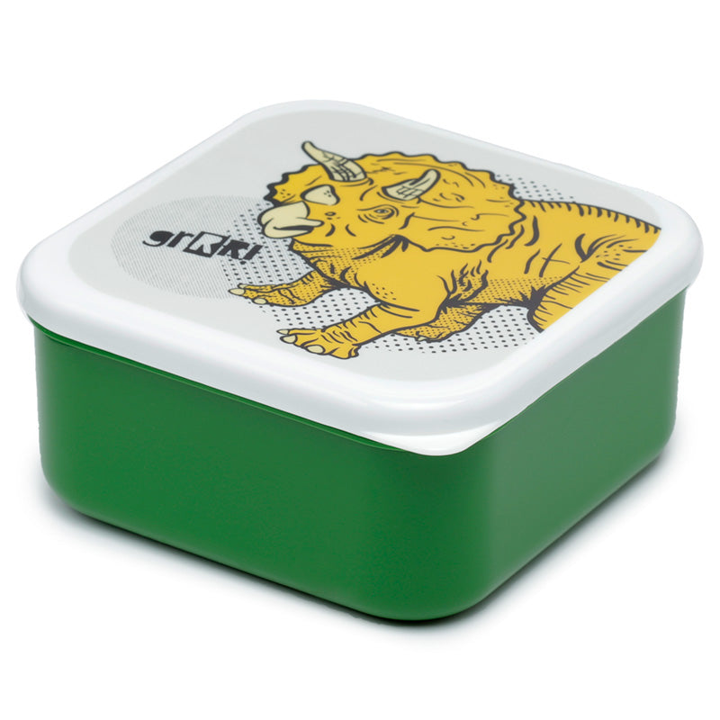 Large Dinosaur lunch box