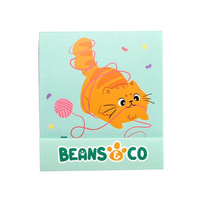 Nail File Matchbook in assorted styles