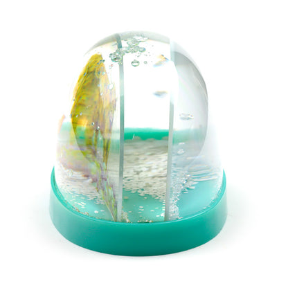 Unique gift idea featuring Jan Pashley Highland Coo