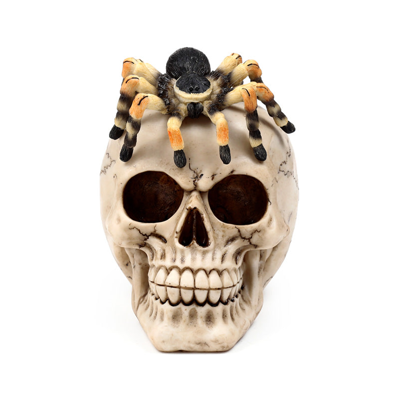 Decorative Skull Ornament with Spider - Side View