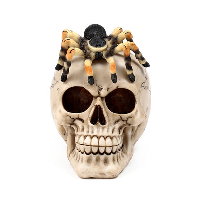 Decorative Skull Ornament with Spider - Side View