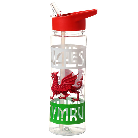 Welsh Dragon Reusable Water Bottle - Front View