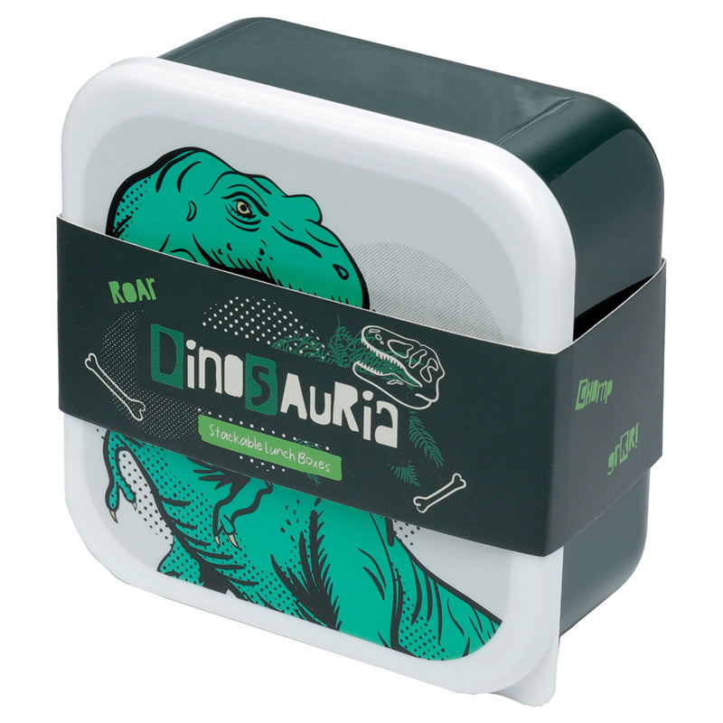 BPA free Dinosaur lunch boxes